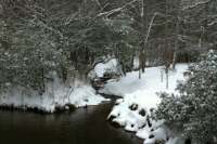 Cartecay River