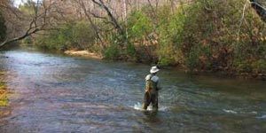 Fisherman in water